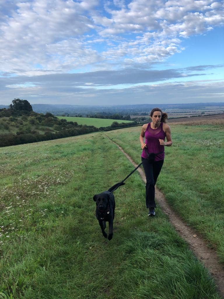 dog jogs with Dustys Pals Flackwell Heath